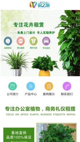 办公室绿植租摆